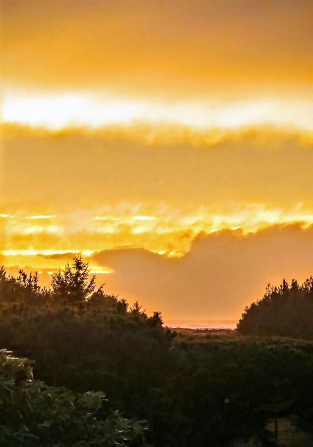 Boreas Bed & Breakfast Inn Long Beach Eksteriør billede